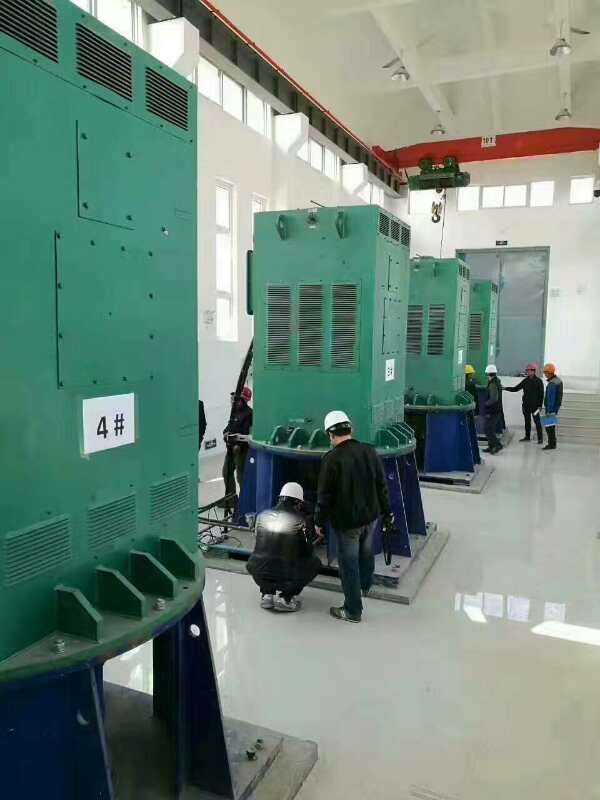 江阳某污水处理厂使用我厂的立式高压电机安装现场
